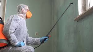 Best Emergency Mold Remediation  in Shelby, MT